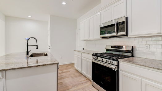 Houston 2-story, 3-bed 2019 Harlem Street-idx