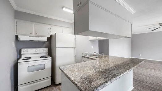 Houston 2-story, null-bed 4525 Balkin Street 12-idx