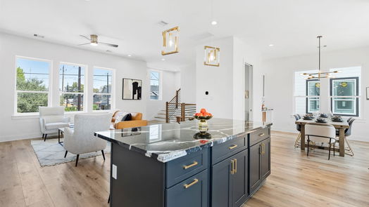 Houston 3-story, 3-bed 724 E 33rd Street-idx