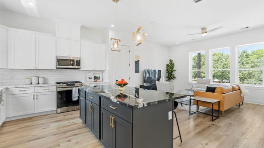 Houston 3-story, 3-bed 724 E 33rd Street-idx