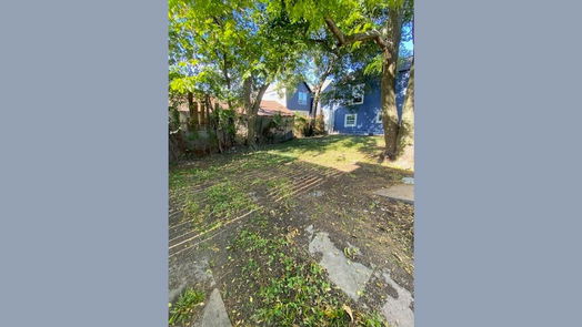 Houston 1-story, 4-bed 4208 Walker Street-idx