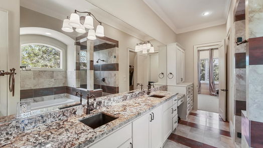Bunker Hill Village 3-story, 6-bed 11714 Memorial Drive-idx