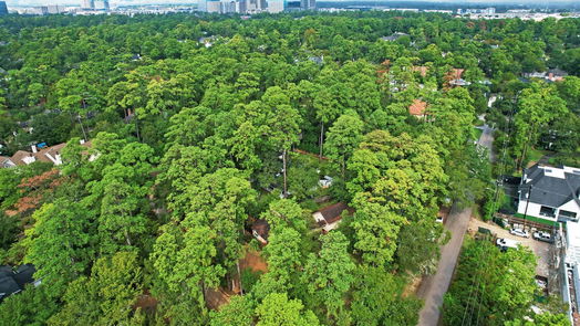 Bunker Hill Village 1-story, 3-bed 1 Leisure Lane-idx