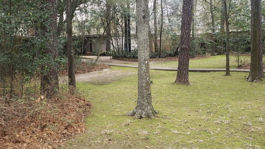Hedwig Village 1-story, 1-bed 818 Magdalene Drive-idx