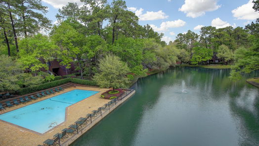 Houston 2-story, 2-bed 37 Litchfield Lane-idx