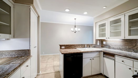 Houston 2-story, 2-bed 37 Litchfield Lane-idx