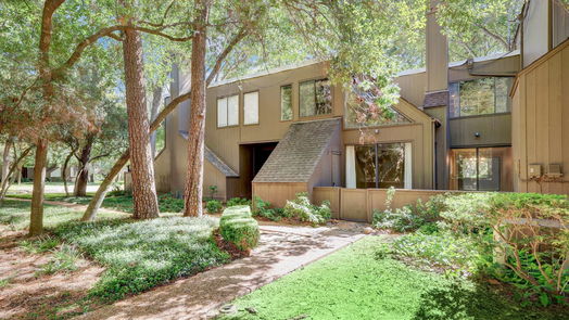 Houston 2-story, 2-bed 37 Litchfield Lane-idx