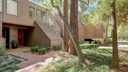 Houston 2-story, 2-bed 37 Litchfield Lane-idx