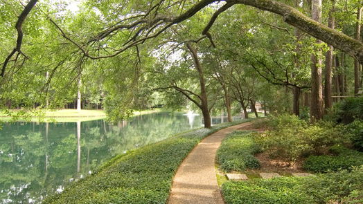 Houston 2-story, 2-bed 37 Litchfield Lane-idx