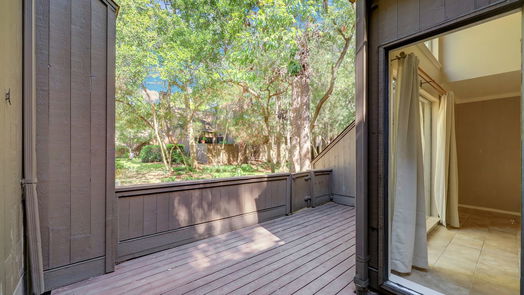 Houston 2-story, 2-bed 37 Litchfield Lane-idx