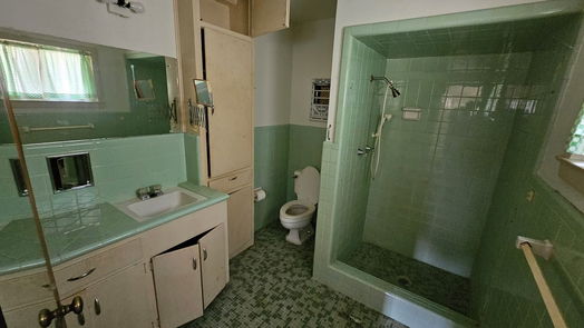 Houston 1-story, 3-bed 902 Constance Drive-idx