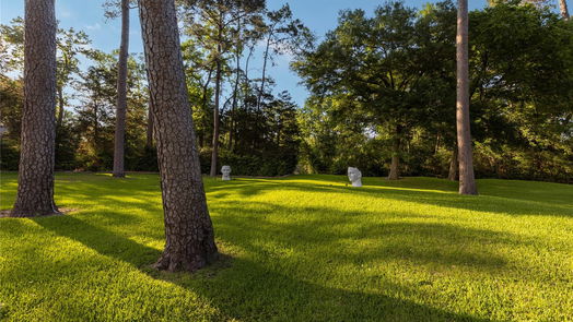 Houston 2-story, 8-bed 306 Longwoods Lane-idx