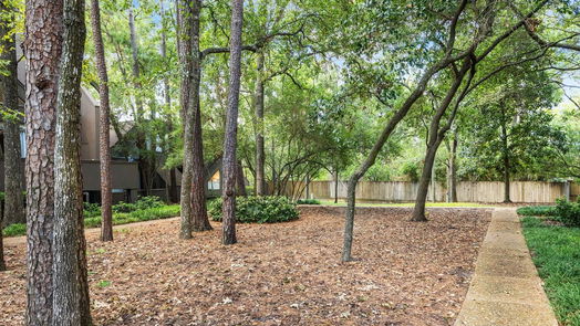 Houston 2-story, 3-bed 156 Litchfield Lane-idx