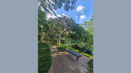 Houston 2-story, 3-bed 161 Litchfield Lane-idx