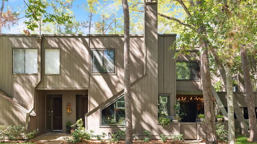 Houston 2-story, 3-bed 53 Litchfield Lane-idx