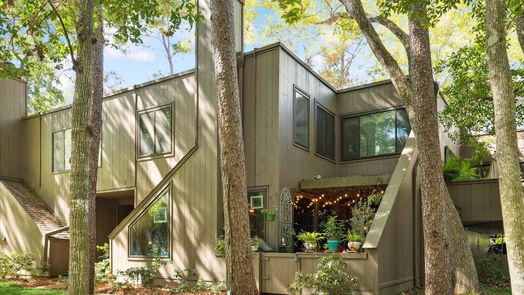 Houston 2-story, 3-bed 53 Litchfield Lane-idx