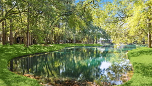 Houston 2-story, 3-bed 53 Litchfield Lane-idx