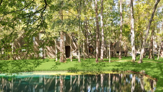 Houston 2-story, 3-bed 53 Litchfield Lane-idx