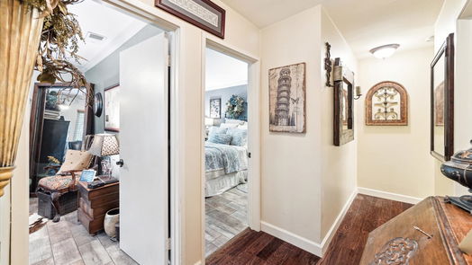 Houston 2-story, 3-bed 53 Litchfield Lane-idx