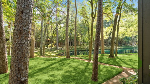 Houston 2-story, 3-bed 53 Litchfield Lane-idx