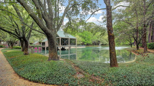 Houston 2-story, 3-bed 53 Litchfield Lane-idx
