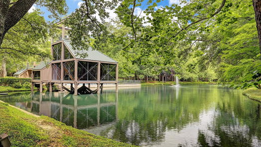 Houston 2-story, 3-bed 53 Litchfield Lane-idx