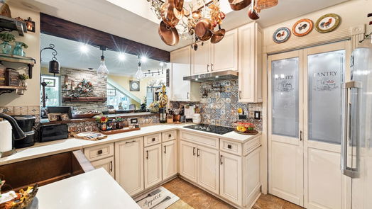 Houston 2-story, 3-bed 53 Litchfield Lane-idx