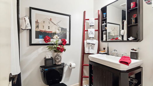Houston 2-story, 3-bed 53 Litchfield Lane-idx