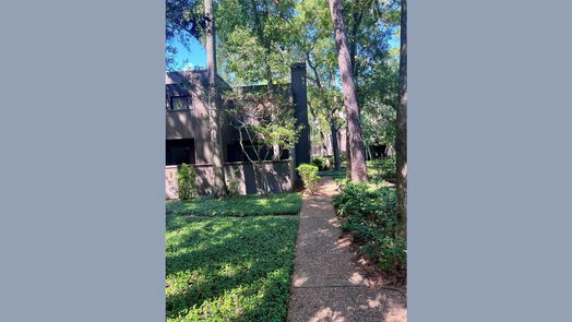 Houston 2-story, 3-bed 171 Litchfield Lane-idx