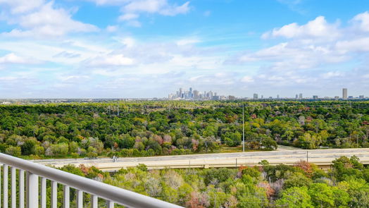 Houston null-story, 2-bed 121 N Post Oak Lane 1805-idx