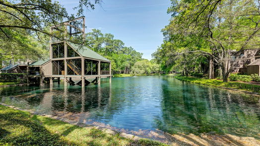 Houston 2-story, 3-bed 209 Litchfield Lane-idx