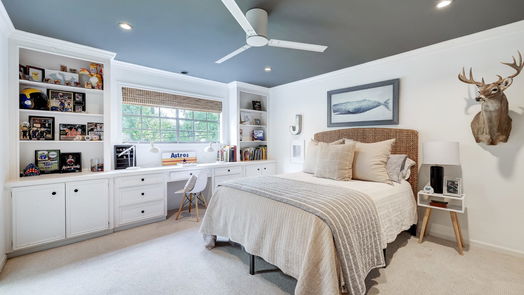 Hunters Creek Village 2-story, 4-bed 249 Bryn Mawr Circle-idx