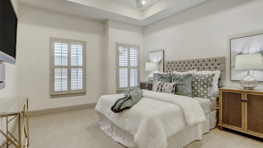 Houston 3-story, 2-bed 4031 Bellefontaine Street 114-idx