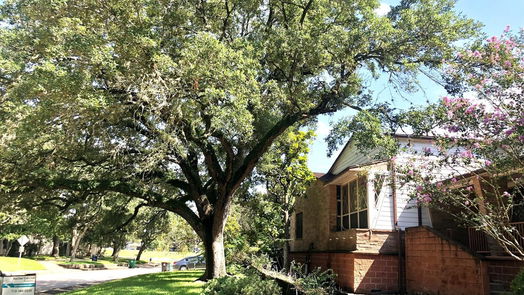 Houston 1-story, 4-bed 3107 Aberdeen Way-idx