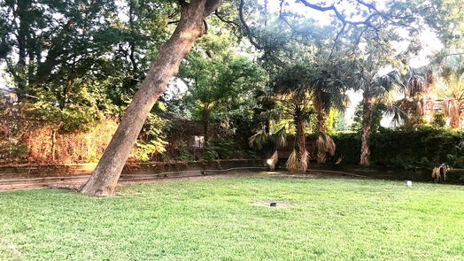 Houston 1-story, 4-bed 3107 Aberdeen Way-idx