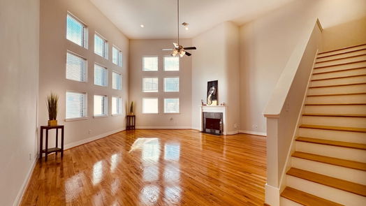 Houston 3-story, 3-bed 9833 Sandra Ann Court-idx