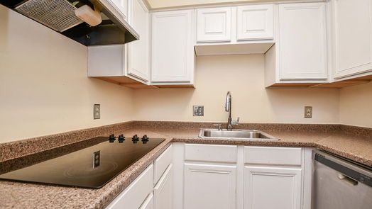Houston 1-story, 1-bed 2601 Bellefontaine Street C201-idx