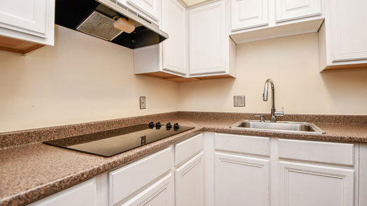Houston 1-story, 1-bed 2601 Bellefontaine Street C201-idx