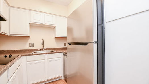 Houston 1-story, 1-bed 2601 Bellefontaine Street C201-idx