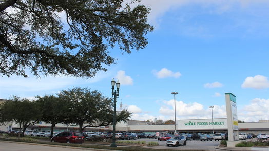 Houston null-story, null-bed 4043 Blue Bonnet Boulevard-idx