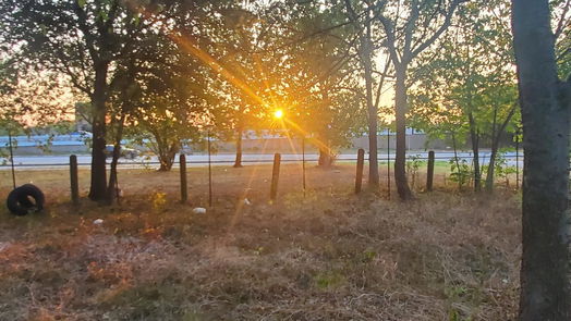 Houston null-story, null-bed 3022 Lee Street-idx