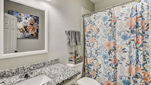 Houston 1-story, 3-bed 3917 Falls Street-idx