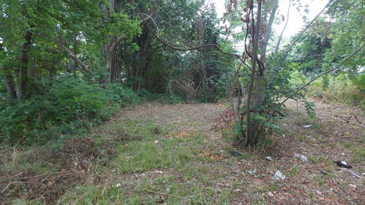 Houston null-story, null-bed 3507 Kimball Street-idx