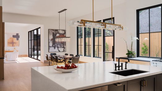 Houston 3-story, 5-bed 3628 Locke Lane-idx
