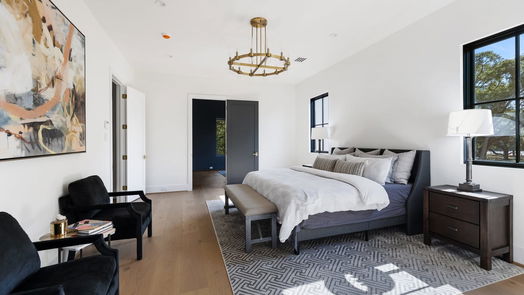Houston 3-story, 5-bed 3628 Locke Lane-idx