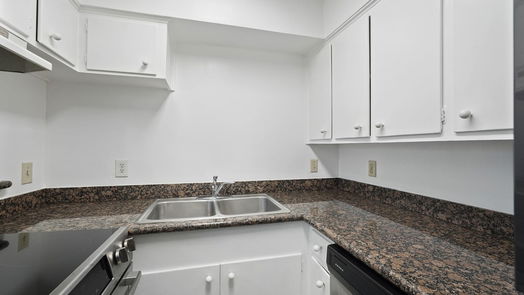 Houston 1-story, 1-bed 3930 W Alabama Street 1-idx