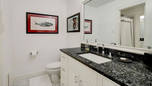 Houston 3-story, 4-bed 3104 Alabama Court-idx