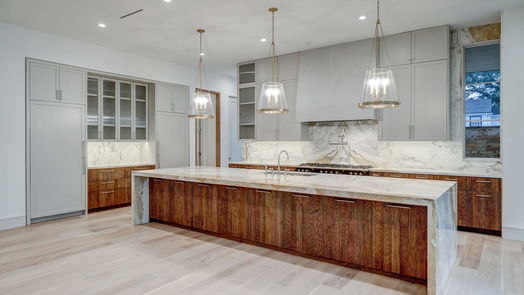 Houston 3-story, 5-bed 3424 Overbrook Lane-idx