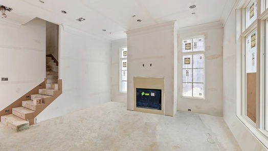 Houston 3-story, 4-bed 16 Wentworth Square Avenue-idx