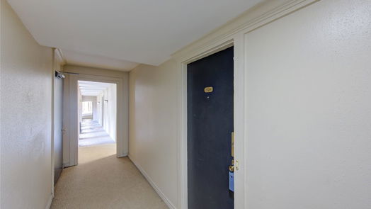 Houston 1-story, 1-bed 4633 Wild Indigo Street 528-idx